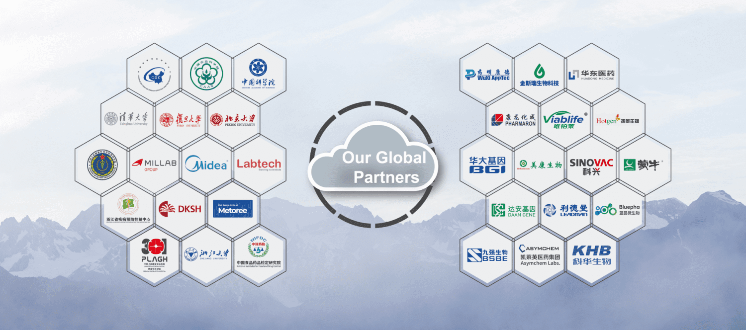 Dscientz Global Partners (1)